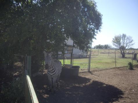 0000 W Us Highway 290 Johnson City TX 78636