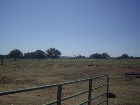 0000 W Us Highway 290 Johnson City TX 78636