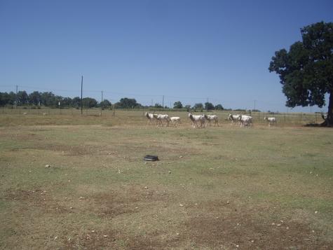 0000 W Us Highway 290 Johnson City TX 78636