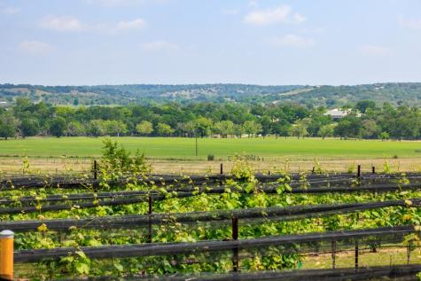 3750 Grapetown Road Fredericksburg TX 78624