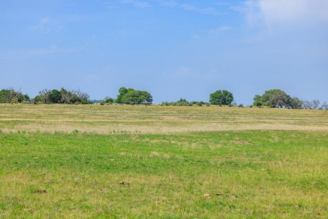 3750 Grapetown Road Fredericksburg TX 78624