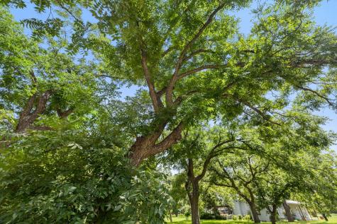 404 N Nugent Street Johnson City TX 78636