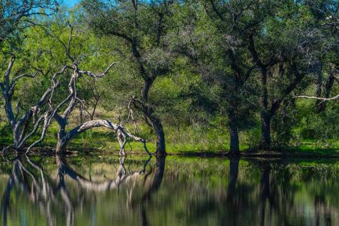 1263 County Road 102 Llano TX 78643