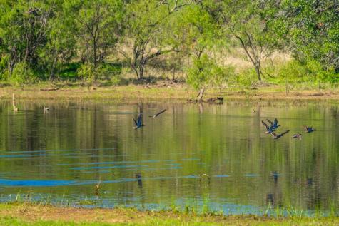 1263 County Road 102 Llano TX 78643