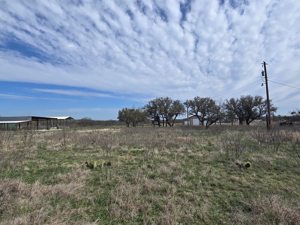 8684 Holmes Lane Menard TX 76859