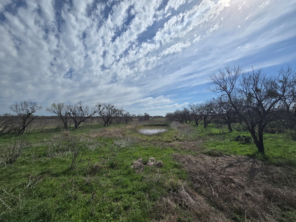 8684 Holmes Lane Menard TX 76859