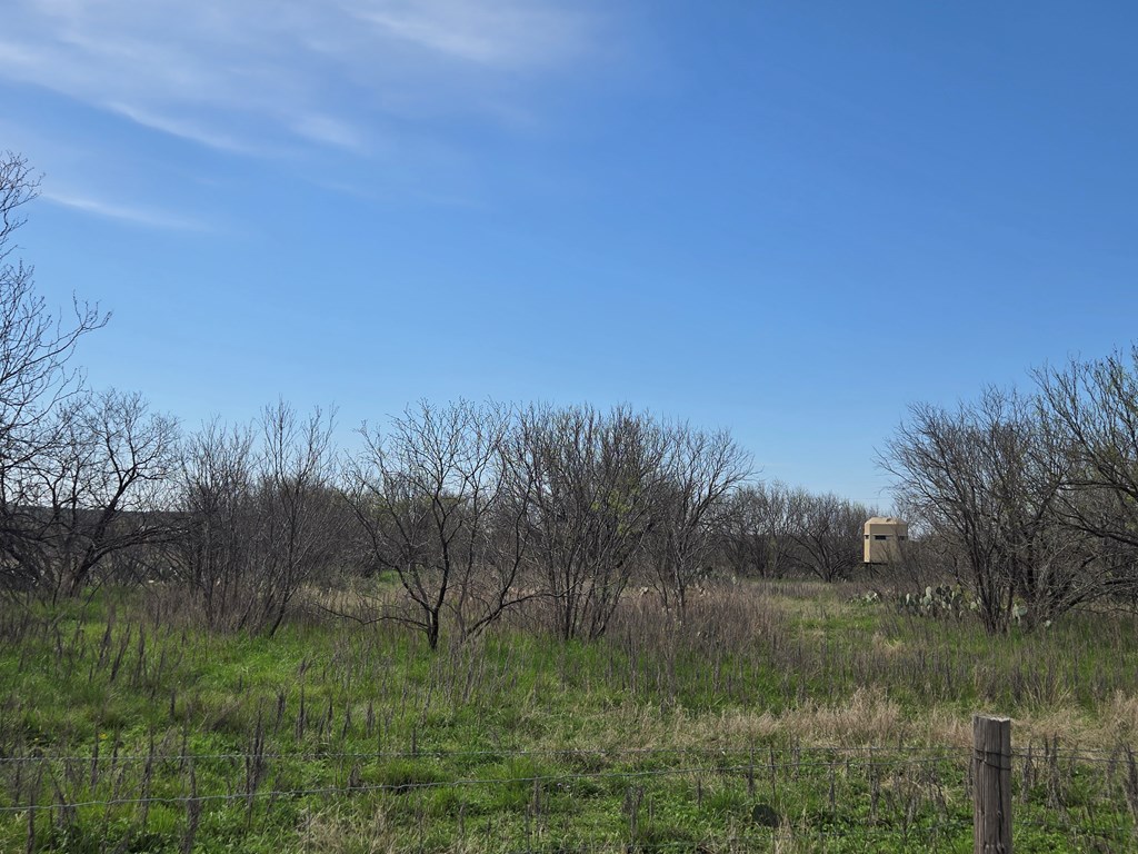 8684 Holmes Lane Menard TX 76859