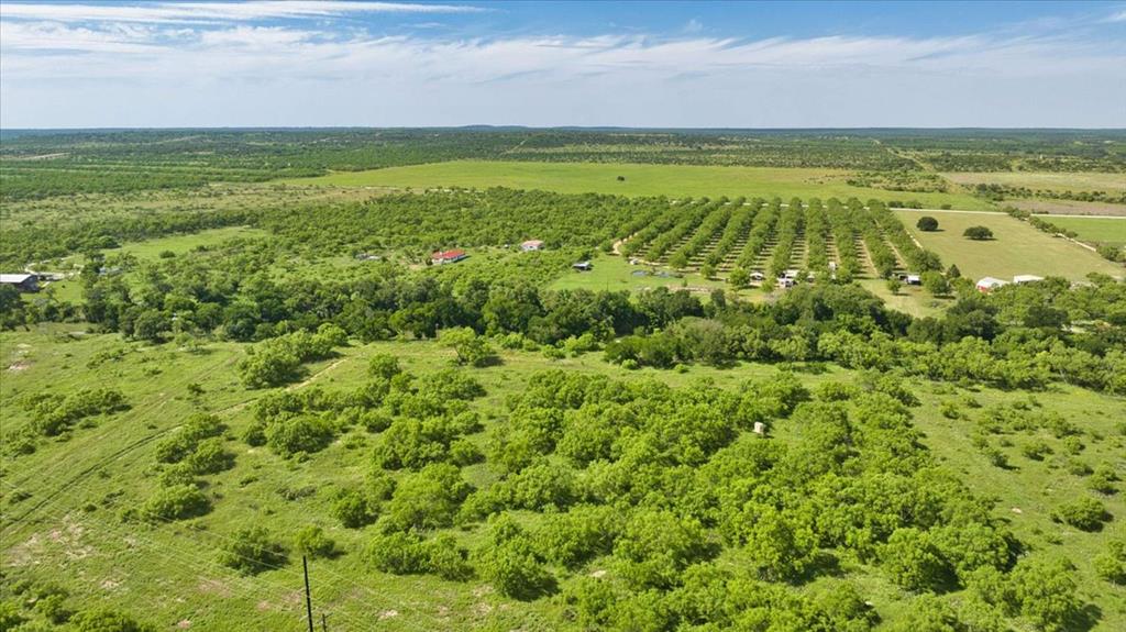 8684 Holmes Lane Menard TX 76859