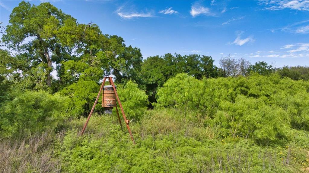 8684 Holmes Lane Menard TX 76859