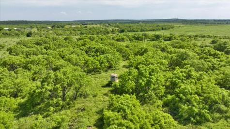 8684 Holmes Lane Menard TX 76859