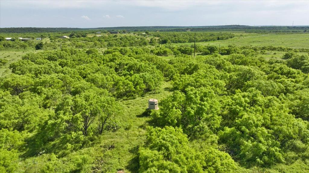 8684 Holmes Lane Menard TX 76859