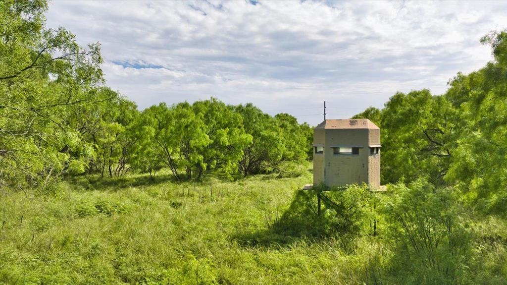 8684 Holmes Lane Menard TX 76859