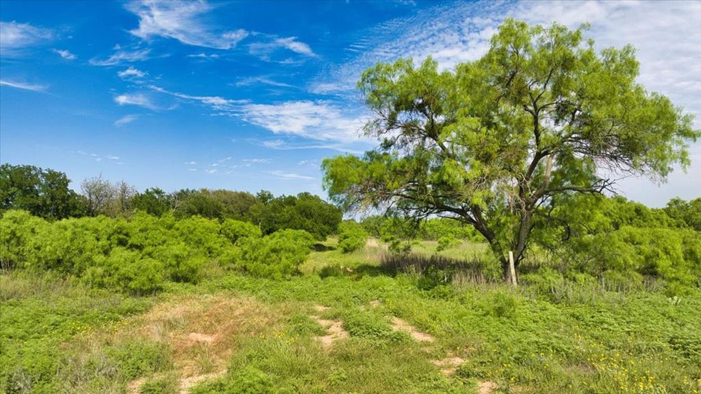 8684 Holmes Lane Menard TX 76859