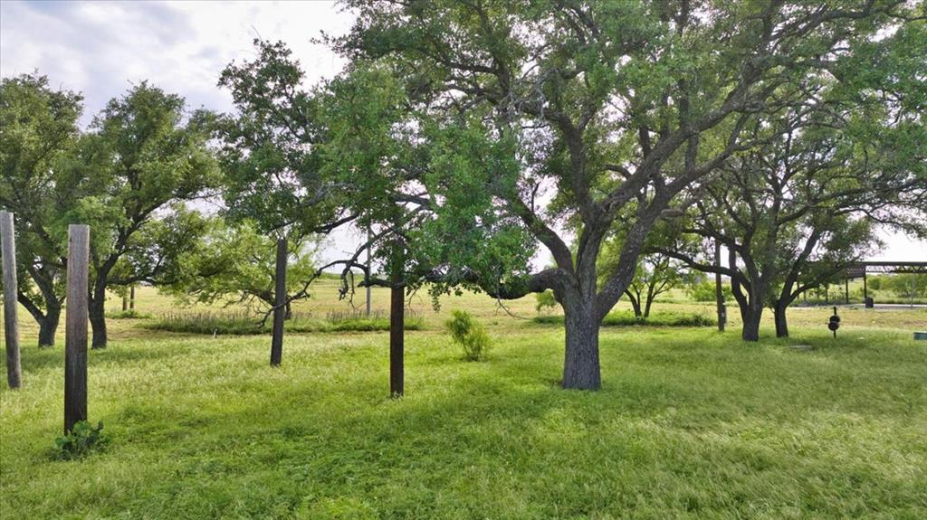 8684 Holmes Lane Menard TX 76859