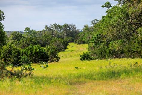 1840 Pressler-henke Road Fredericksburg TX 78624
