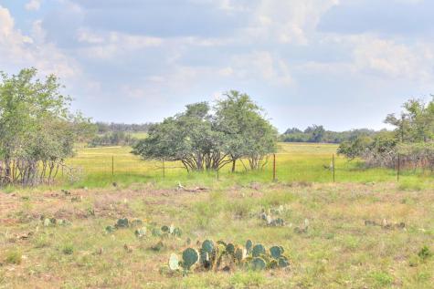 2546-2 Reservation Road Harper TX 78631