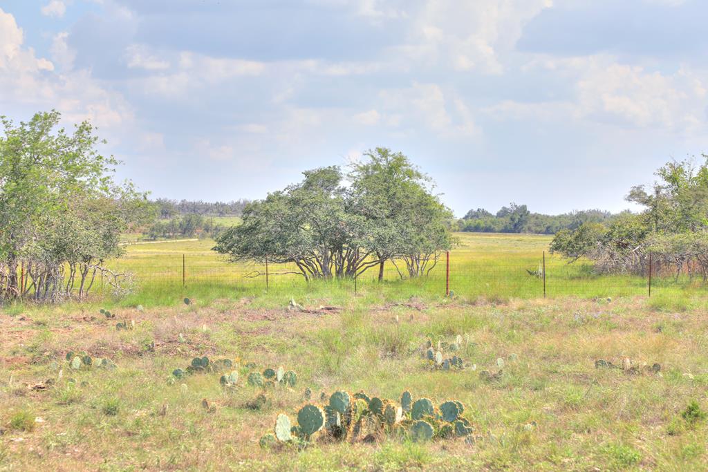 2546-2 Reservation Road Harper TX 78631