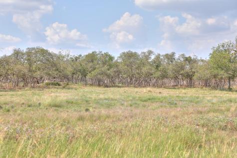 2546-2 Reservation Road Harper TX 78631