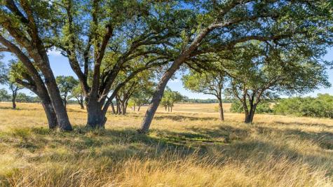 2482 Ranch Road 2721 Johnson City TX 78636