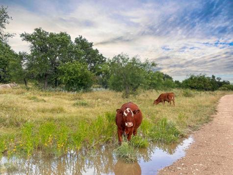 1085 Fallow Drive Eldorado TX 76936