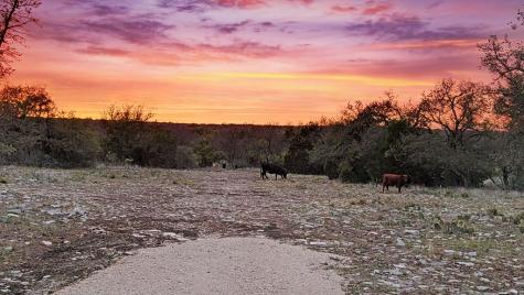 1085 Fallow Drive Eldorado TX 76936