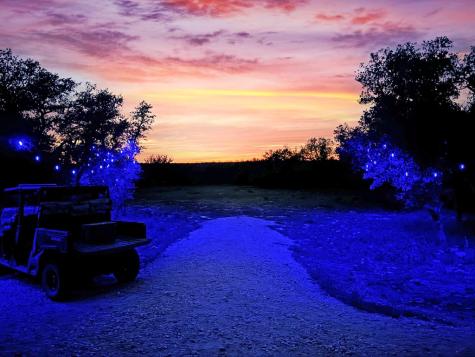 1085 Fallow Drive Eldorado TX 76936