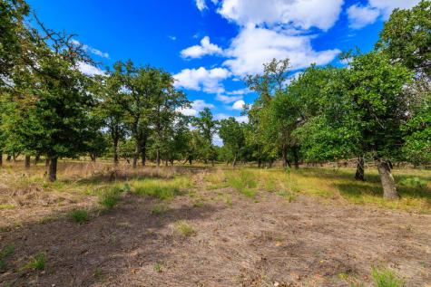 358 Dally Road Fredericksburg TX 78624