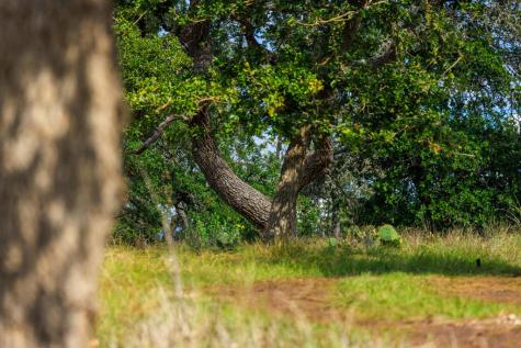 358 Dally Road Fredericksburg TX 78624