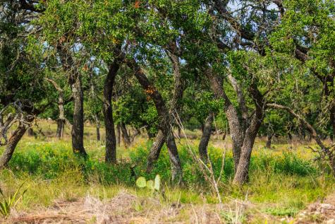 358 Dally Road Fredericksburg TX 78624