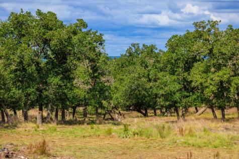 358 Dally Road Fredericksburg TX 78624