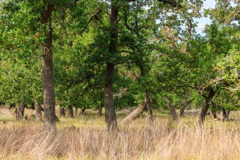 358 Dally Road Fredericksburg TX 78624