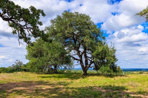 358 Dally Road Fredericksburg TX 78624