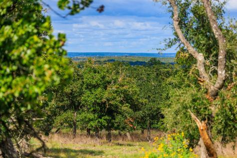 358 Dally Road Fredericksburg TX 78624