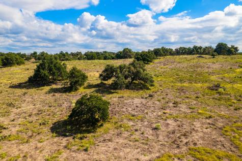 358 Dally Road Fredericksburg TX 78624