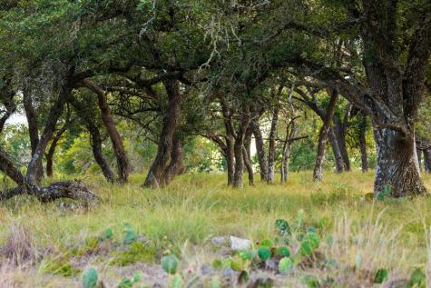 358 Dally Road Fredericksburg TX 78624