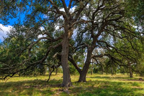 358 Dally Road Fredericksburg TX 78624