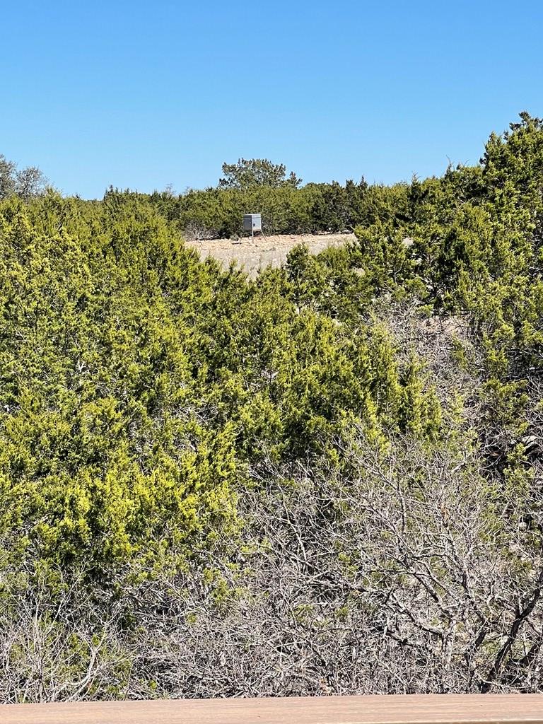 145 W Ibex Road Mountain Home TX 78058