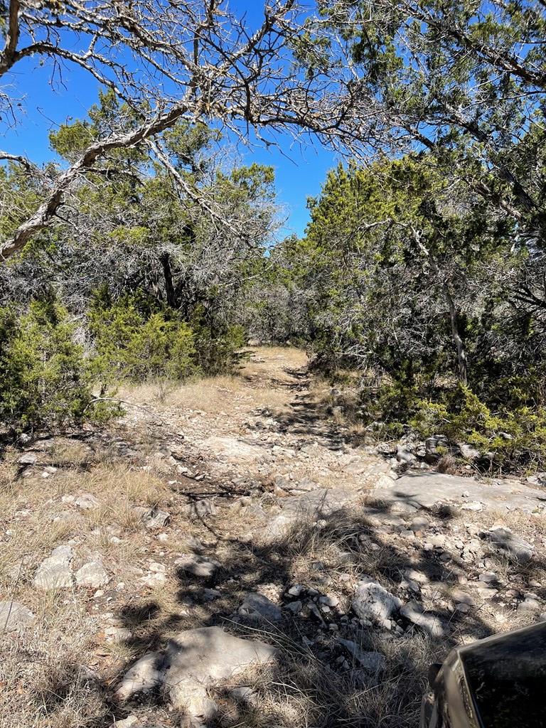 145 W Ibex Road Mountain Home TX 78058