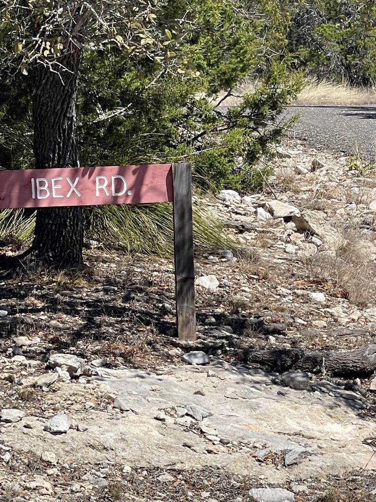 145 W Ibex Road Mountain Home TX 78058
