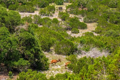 11797 Hackberry Road Rocksprings TX 78880