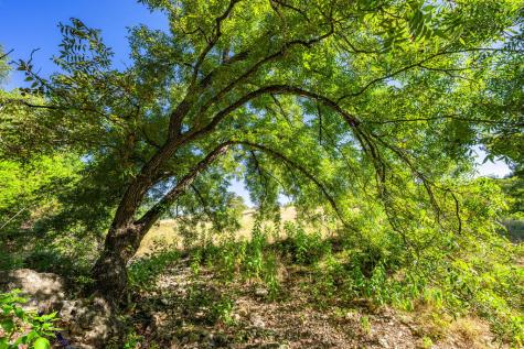 5579 Schneider-moellering Road Fredericksburg TX 78624