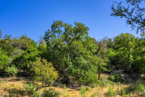 5579 Schneider-moellering Road Fredericksburg TX 78624