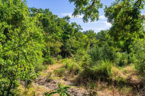 5579 Schneider-moellering Road Fredericksburg TX 78624