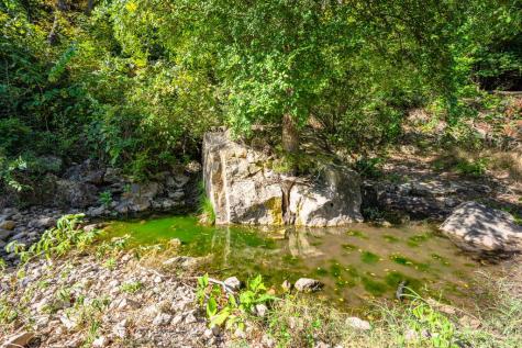 5579 Schneider-moellering Road Fredericksburg TX 78624