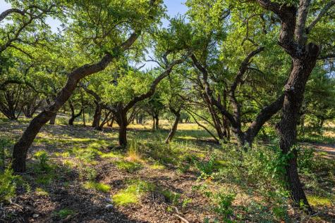 5579 Schneider-moellering Road Fredericksburg TX 78624