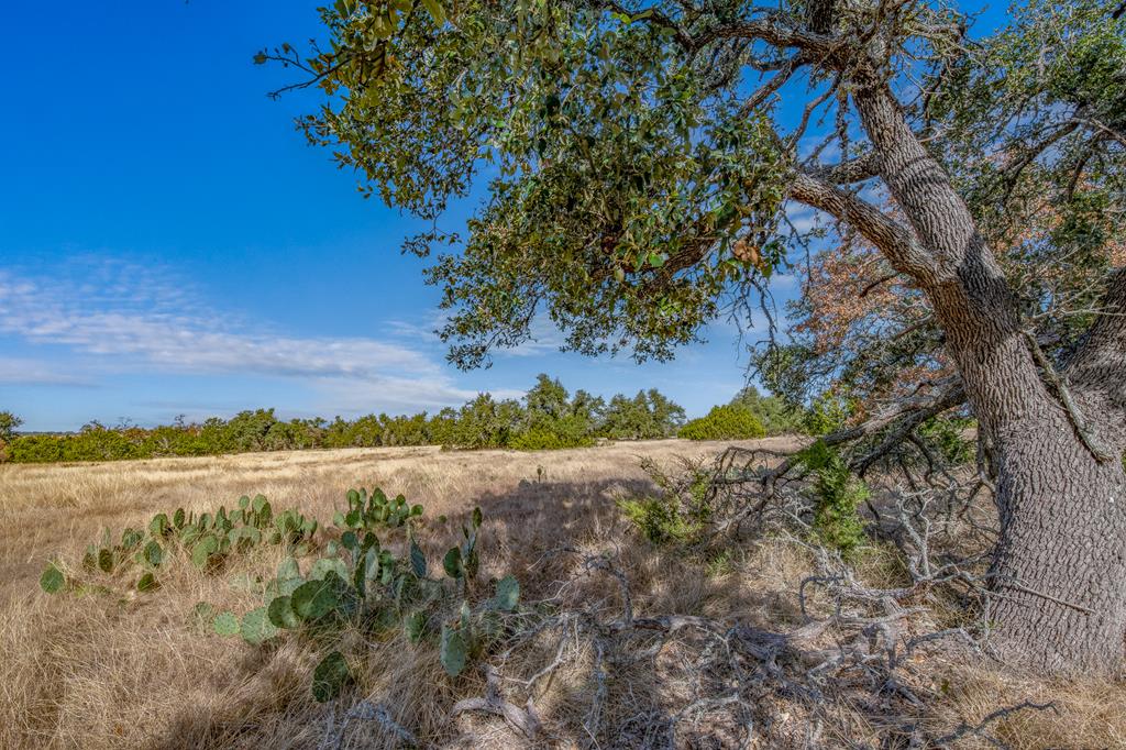 234 Lower Reservation Road Harper TX 78631