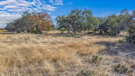 234 Lower Reservation Road Harper TX 78631