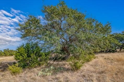 234 Lower Reservation Road Harper TX 78631