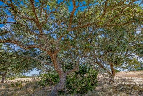 234 Lower Reservation Road Harper TX 78631