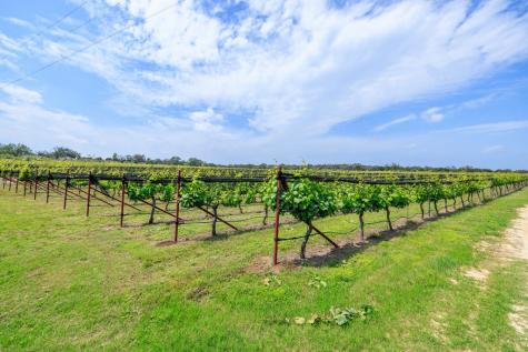 3750 Grapetown Road Fredericksburg TX 78624